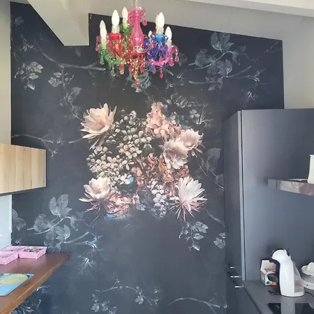 Rdm Guest house Albiano Magra